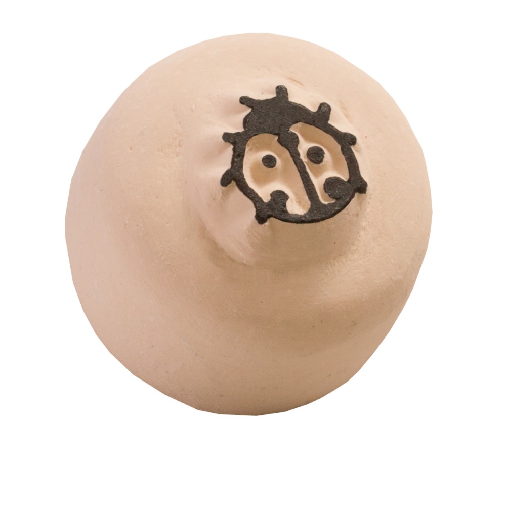 Tatouage temporaire Coccinelle