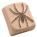 Tijdelijke tattoo Grote spin