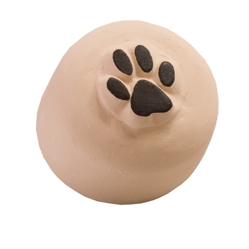 [S17] Tatouage temporaire Patte de chat