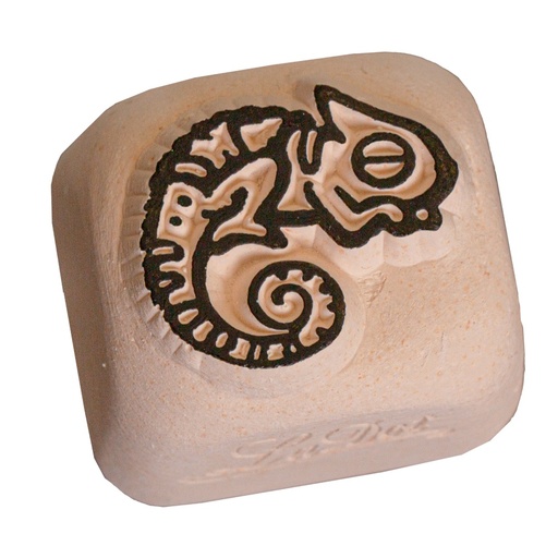 [S20] little gecko